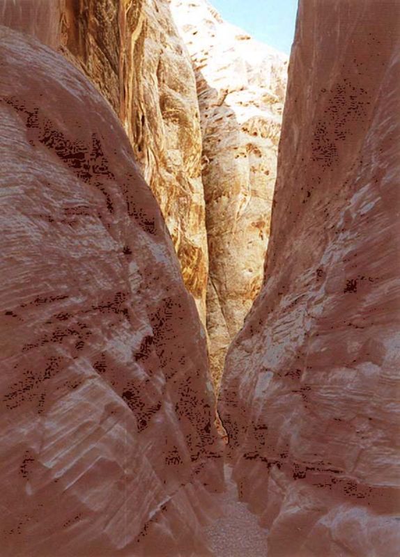 04160302LittleWildHorse (1084)